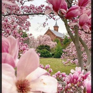 Meet your Posher, Shelly